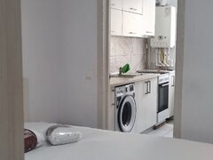Titan, Parcul Teilor, Str. Drumul Gura Siriului